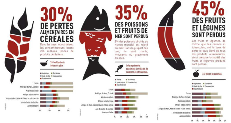 30 % de la production de céréales, 45 % des fruits et légumes et 35 % des poissons sont perdus pour la consommation. © FAO