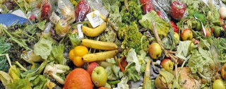 gaspillage alimentaire