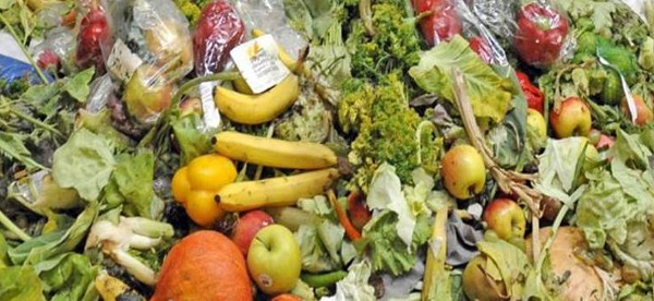 gaspillage alimentaire