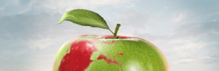 La production alimentaire est la plus grande source de dégradation de l'environnement, et l'alimentation malsaine présente un risque plus élevé de morbidité et de mortalité que les rapports sexuels non protégés et la consommation combinée d'alcool, de drogues et de tabac. FANATIC STUDIO / SCIENCE PHOTO L / FST / Science Photo Library / AFP