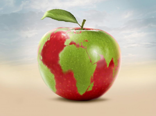 La production alimentaire est la plus grande source de dégradation de l'environnement, et l'alimentation malsaine présente un risque plus élevé de morbidité et de mortalité que les rapports sexuels non protégés et la consommation combinée d'alcool, de drogues et de tabac. FANATIC STUDIO / SCIENCE PHOTO L / FST / Science Photo Library / AFP
