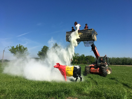 un producteur jette de la poudre de lait pour protester contre les consequences 450